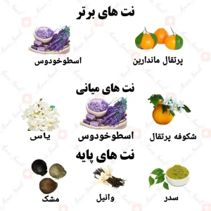ادکلن زنانه لوور ولار