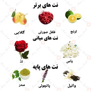 ادکلن زنانه میلنا ولار