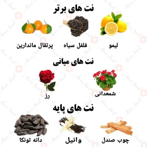 ادکلن مردانه وراسیت رژ ولار