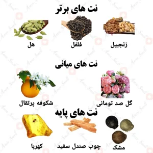 ادکلن زنانه وراسیت نویر ولار | Veracite Noir Volare