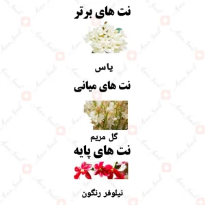 ادکلن زنانه گاردن فلورا ولار