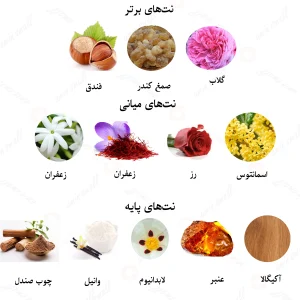 ادکلن یونیسکس آمواج گایدنس روونا