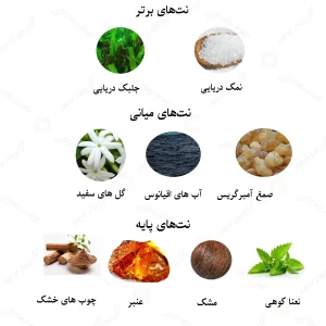 ادکلن یونیسکس مجیکال روونا 