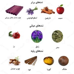 ادکلن یونیسکس زرجوف الکساندریا 2 روونا