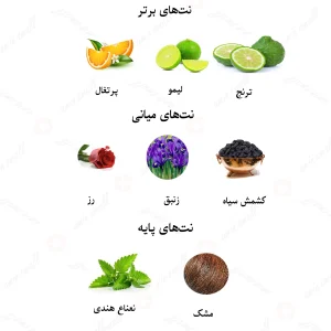 ادکلن زنانه تیفانی روونا