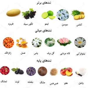 ادکلن زنانه دیویدوف کول واتر روونا