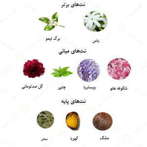 ادکلن مردانه داریوش کبیر روونا
