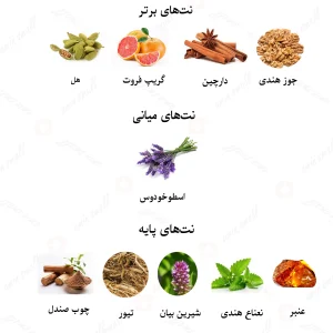 ادکلن مردانه دیور ساواج الکسیر روونا