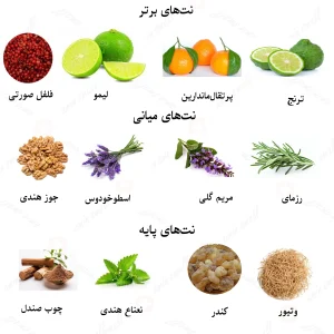 ادکلن کرید وایکینگ روونا