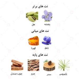 ادکلن یونیسکس استالیون ۵۳ امپر