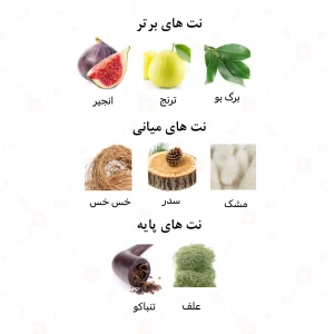 ادکلن یونیسکس د بلک 92 امپر