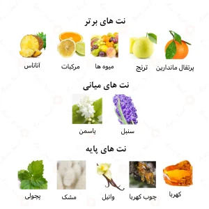 ادکلن زنانه سر الامیره امپر