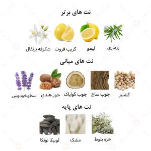 ادکلن مردانه لجند قهوه ای امپر