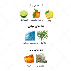 ادکلن مردانه ماکسیما پور هوم امپر