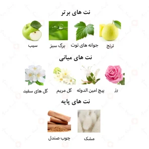 ادکلن زنانه مموریز امپر