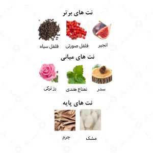 ادکلن یونیسکس پاتچولی ماجاستیک امپر
