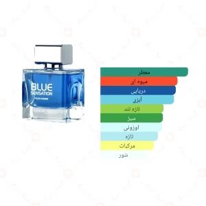 ادکلن مردانه بلو سنسیشن پور هوم جانوین