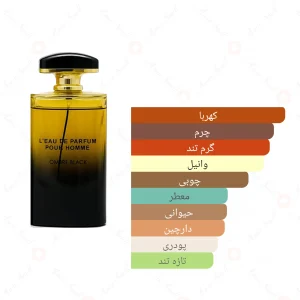 ادکلن مردانه امبر بلک جانوین