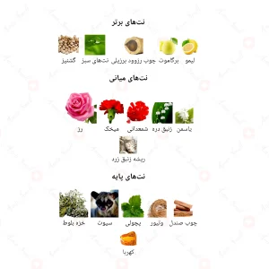 ادکلن مردانه 9000 جانوین