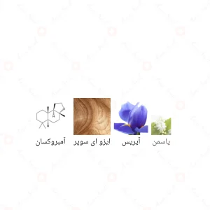 ادکلن یونیسکس اسنتریک مولکول 02 جانوین