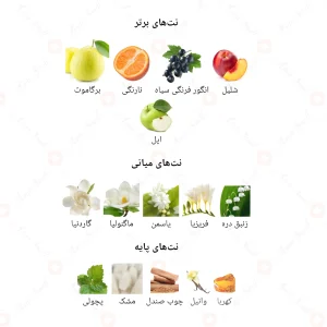 ادکلن زنانه سایلنس جانوین