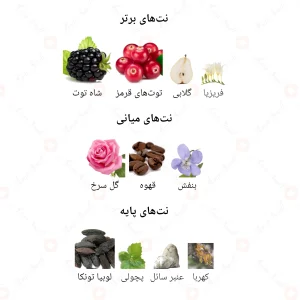 ادکلن زنانه د وان اند اونلی جانوین