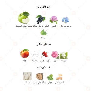 ادکلن زنانه دیپ بلو جانوین