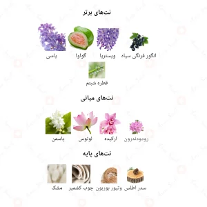ادکلن زنانه سنس جانوین