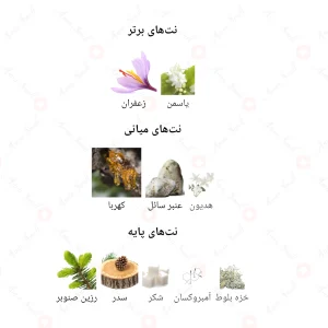 ادکلن زنانه بانکوییت رژ ۵۴۰ جانوین