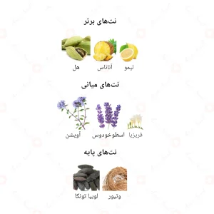 ادکلن زنانه د اروماتیکس جانوین