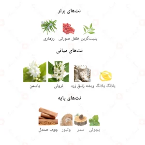 ادکلن مردانه ریلیشن امواج جانوین