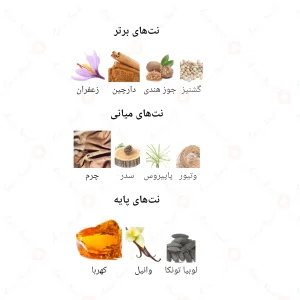 ادکلن مردانه امبر بلک جانوین