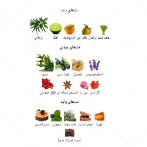 ادکلن مردانه لئو د پرفیوم پور هوم بلو جانوین