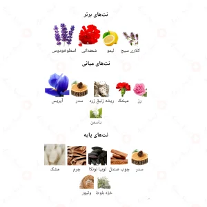 ادکلن مردانه براون جانوین