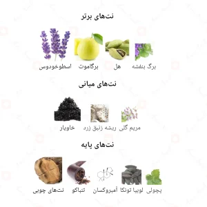 ادکلن مردانه بیگ جانوین