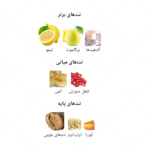 ادکلن مردانه د هوم اسپرت جانوین