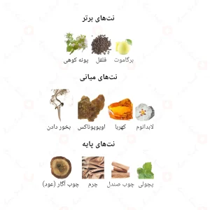 ادکلن مردانه پی اند او جانوین