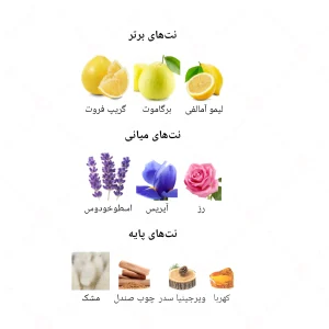 ادکلن مردانه کازا مانیفستو جانوین