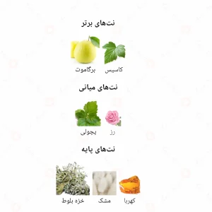 ادکلن مردانه سناتور سیلور جانوین
