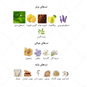 ادکلن مردانه دنس من جانوین