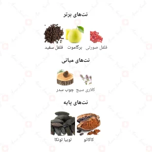 ادکلن مردانه گود بوی جانوین