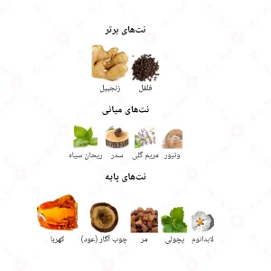 ادکلن مردانه اینتنس اییومن جانوین