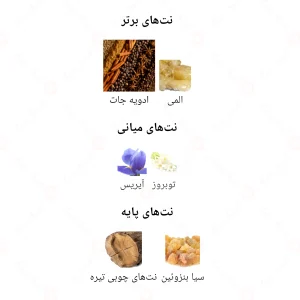 ادکلن مردانه من این بلک جانوین