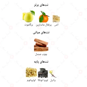 ادکلن مردانه ساووی اینتنس جانوین