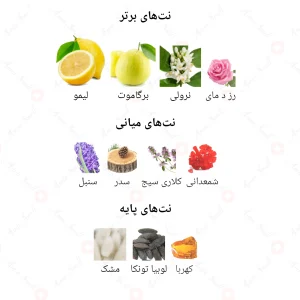 ادکلن مردانه ورساچه او فرش جانوین