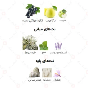 ادکلن مردانه سوپرماسی نات اونلی اینتنس 150 میل افنان 