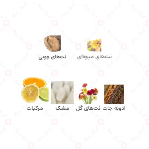 ادکلن مردانه نوترون اجمل