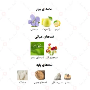 ادکلن مردانه ویژن اجمل