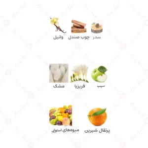 ادکلن زنانه شادو آمور اجمل
