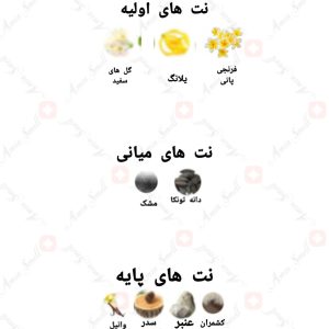 ادکلن زنانه امبری پور فم سابلایم